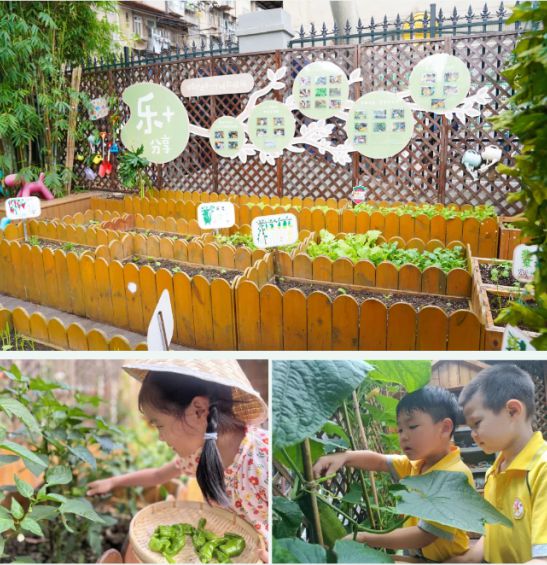 北湖幼儿园抓牢关键阶段凯发网址武汉市江汉区