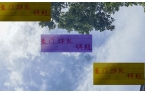 是柏杨 申花是于汉超 海港你认为是谁凯发